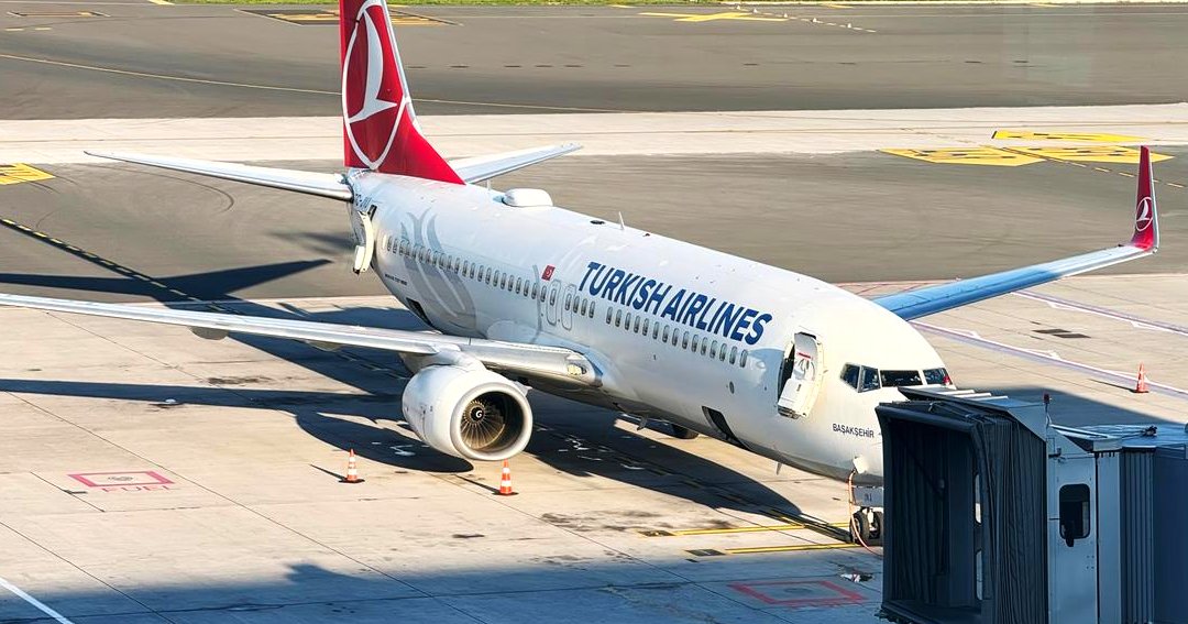 Turkish-Airlines-face-à-une-polémique--des-punaise_processed